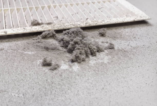 Best Professional Duct Cleaning Services  in Montpelier, VT
